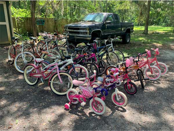 Lake Area Bikes - bicycles for kids