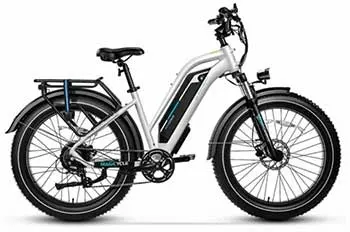 electric bike at Lake Area Bike